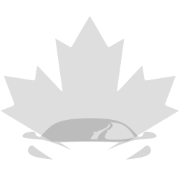 Maple Auto Glass